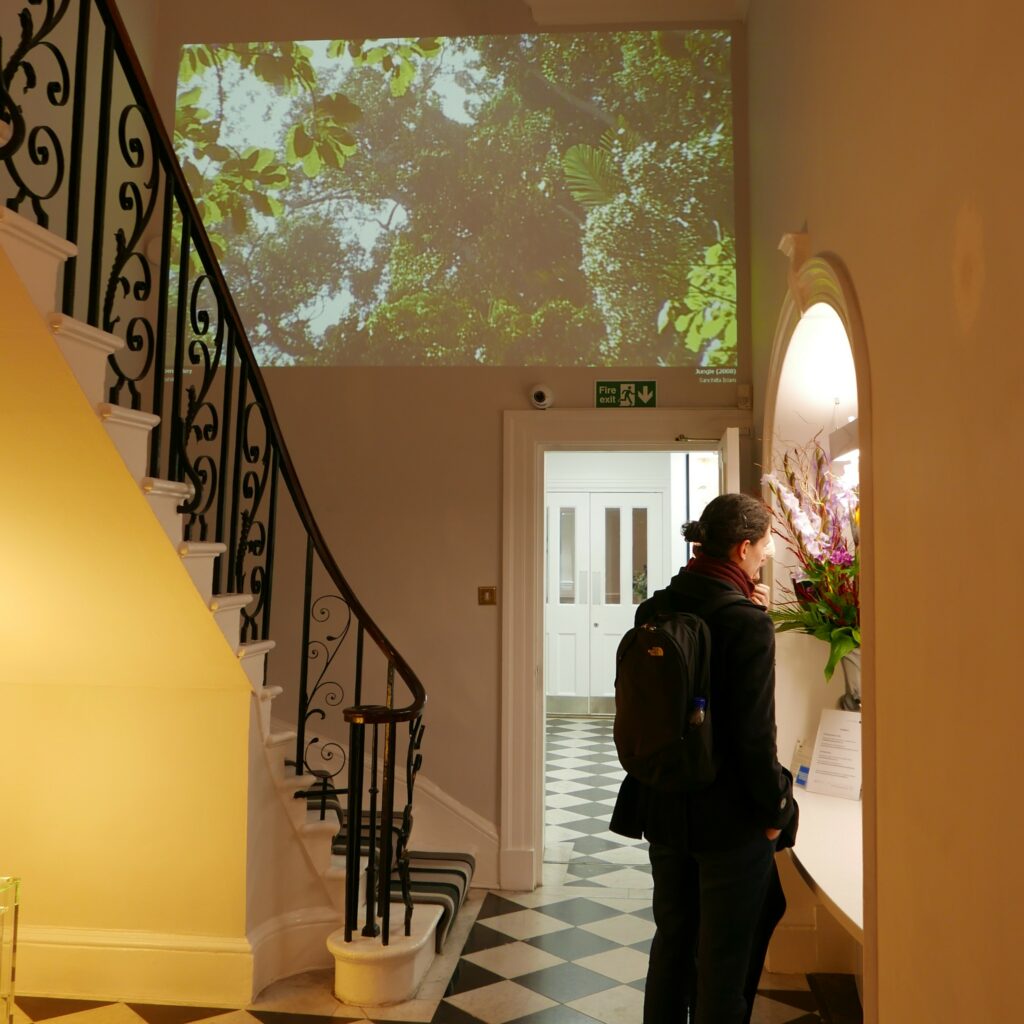 Open Gallery Installation at The London Women's Clinic